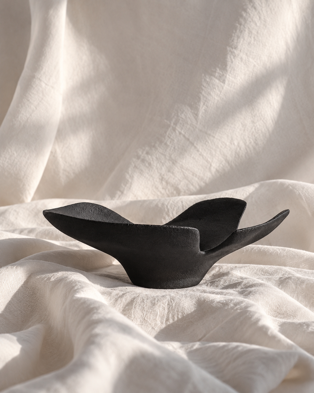 Coupe / Vide poche COROLLE