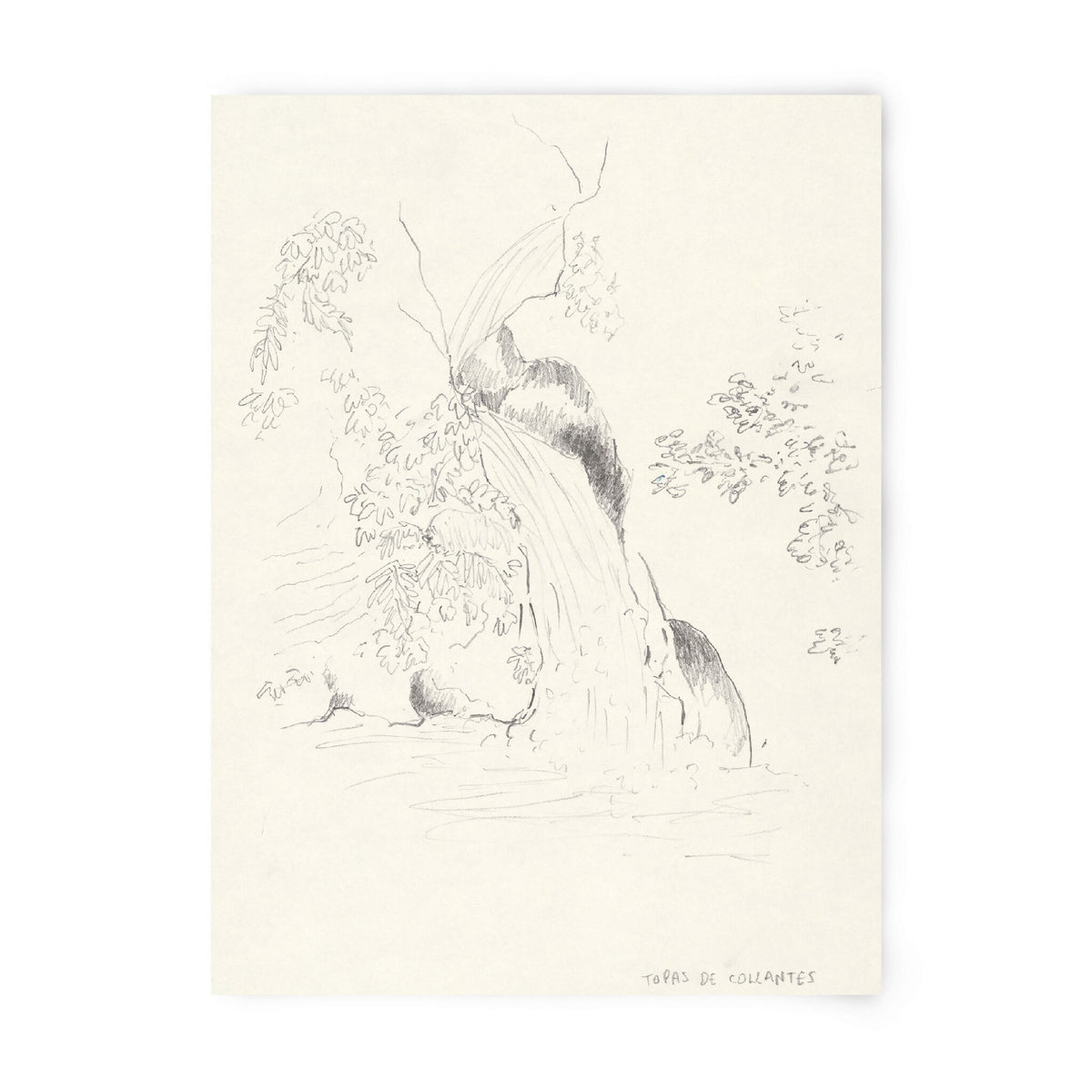 Tirage d’art numéroté et signé, dessin au trait noir sur fond clair.