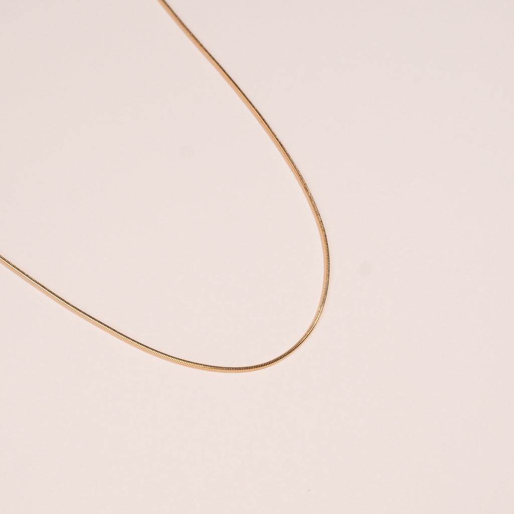 Collier Oasis