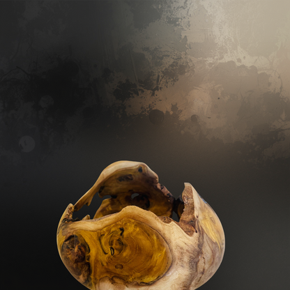 TENSION — Carapace
