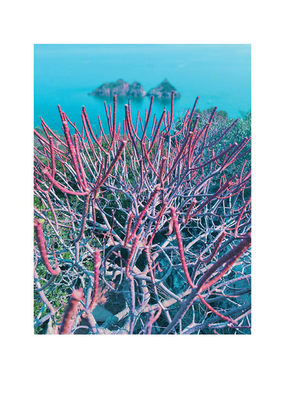 Rascas-copyrightAgnesBiau_144dpi