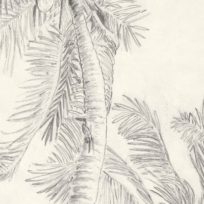 "La palmera, Cuba" - tirage d'art limité, numéroté et signé.