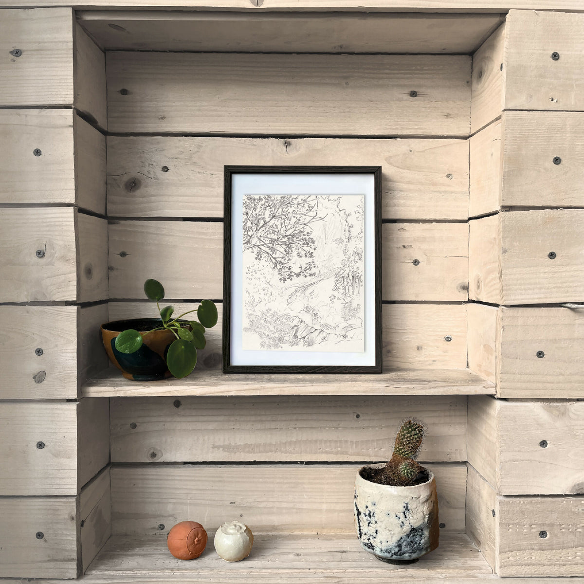 Tirage d’art encadré au cadre noir, illustration végétale en noir et blanc.