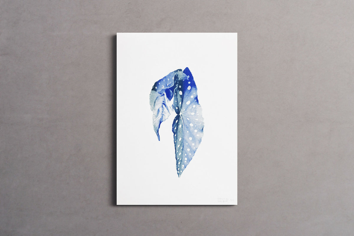 Affiche encadrée Bégonia bleu aquarelle à points blancs, format A3