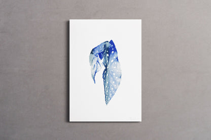 affiche fleur - Bégonia #2- Riso - A3 - 42 x 29,7 cm