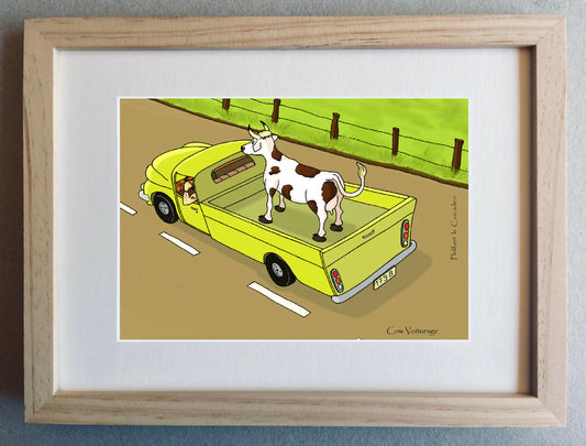 cow voit
