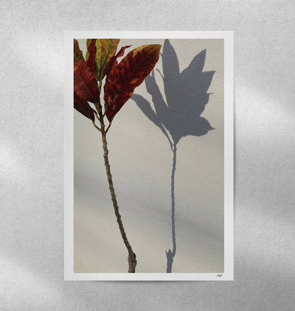 Affiche encadrée avec feuilles rouge-brun et ombres d’arbres