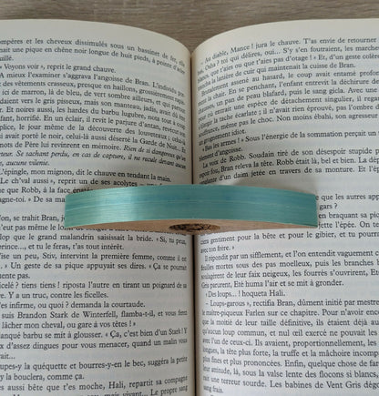 Bague de lecture avec Marqueterie de Paille Turquoise
