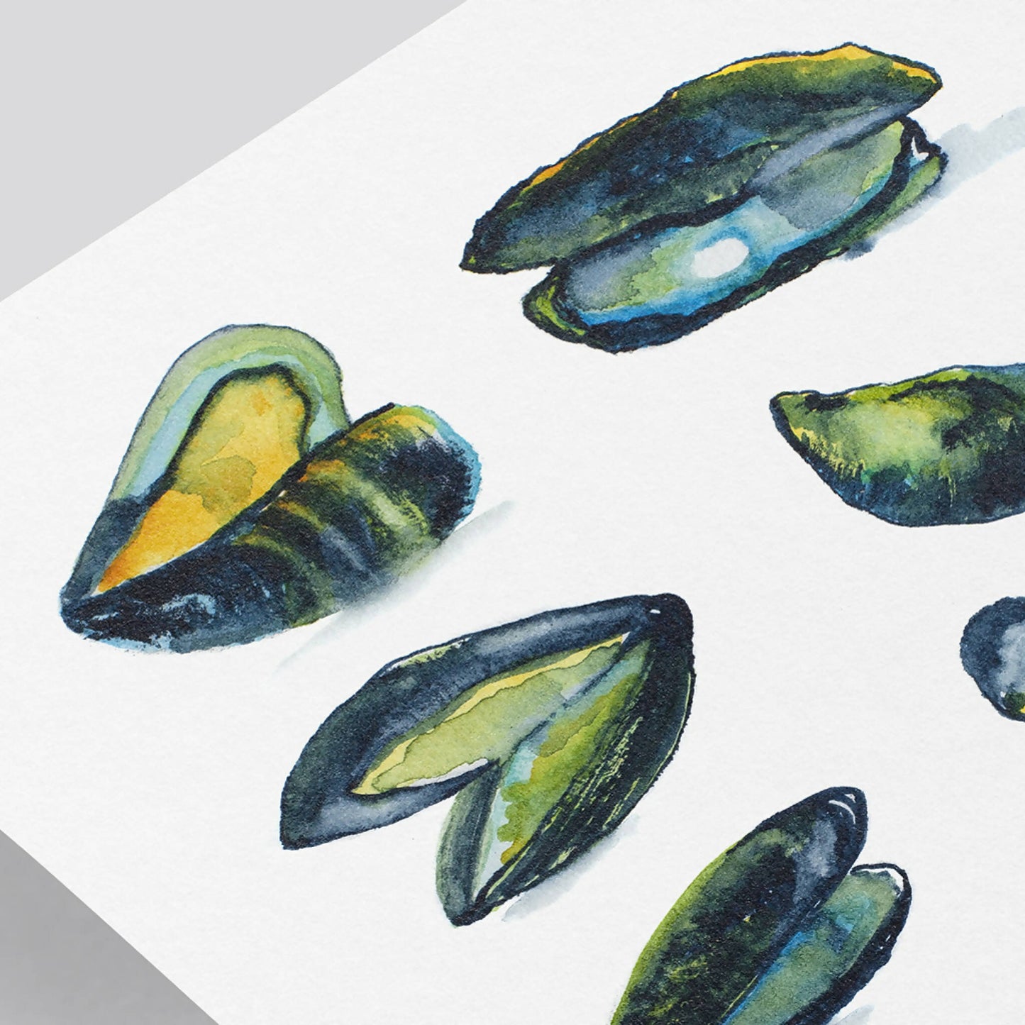 Illustration originale aquarelle signee Moules02