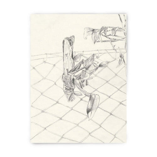 Tirage d’art encadré : orchidée dessinée au trait sur treillis, monochrome, signé et numéroté.