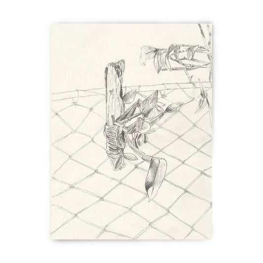 "La orchidea sobre la madera" - tirage d'art limité, numéroté et signé.