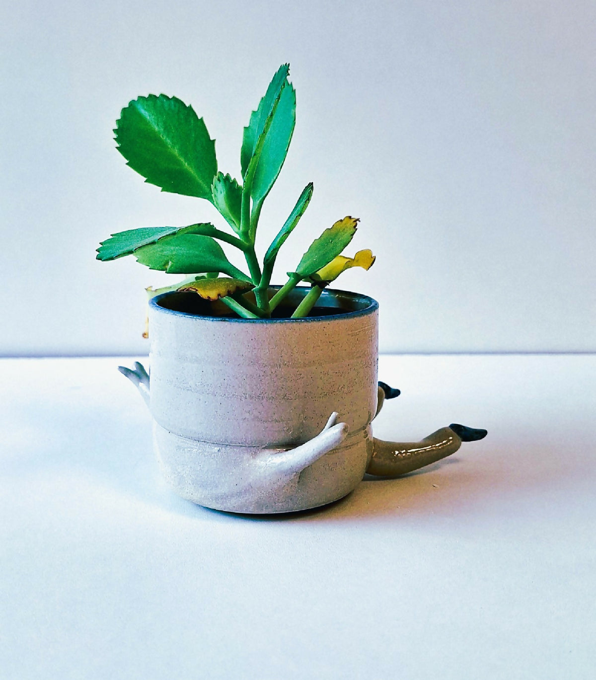 Pot figuratif en céramique blanche avec plante verte et petites jambes