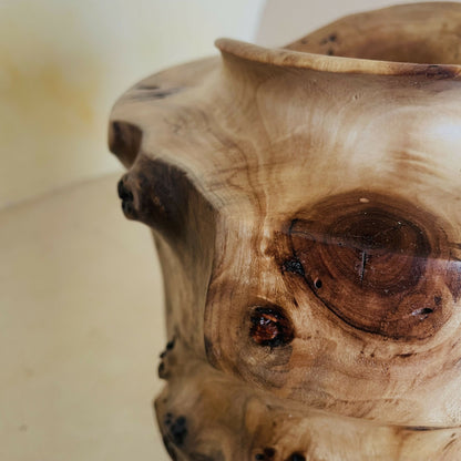 TOTEMS — Totem #1