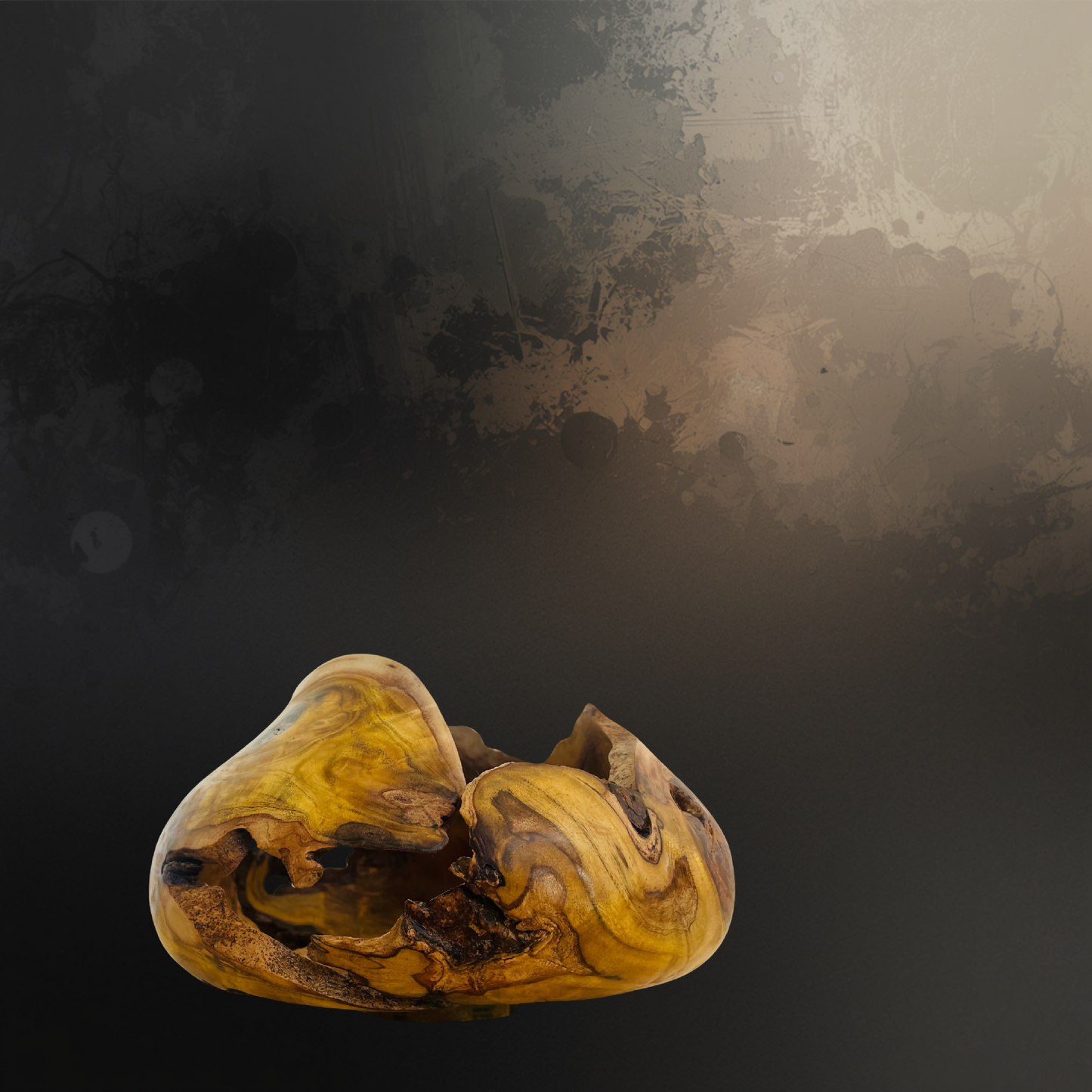 TENSION — Carapace