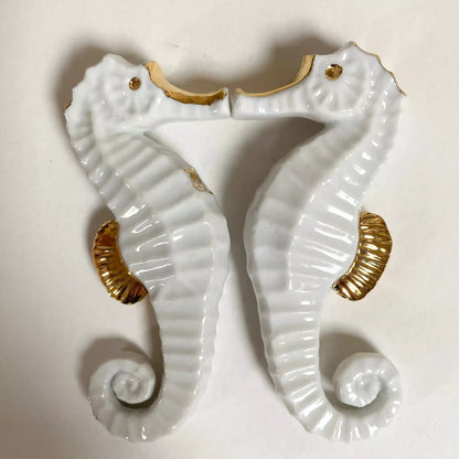 Porte couverts Hippocampe