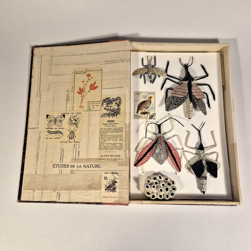 Livre de sculptures sur les insectes ouvert, planches illustrées et insectes en relief