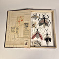 Livre de sculptures sur les insectes ouvert, planches illustrées et insectes en relief