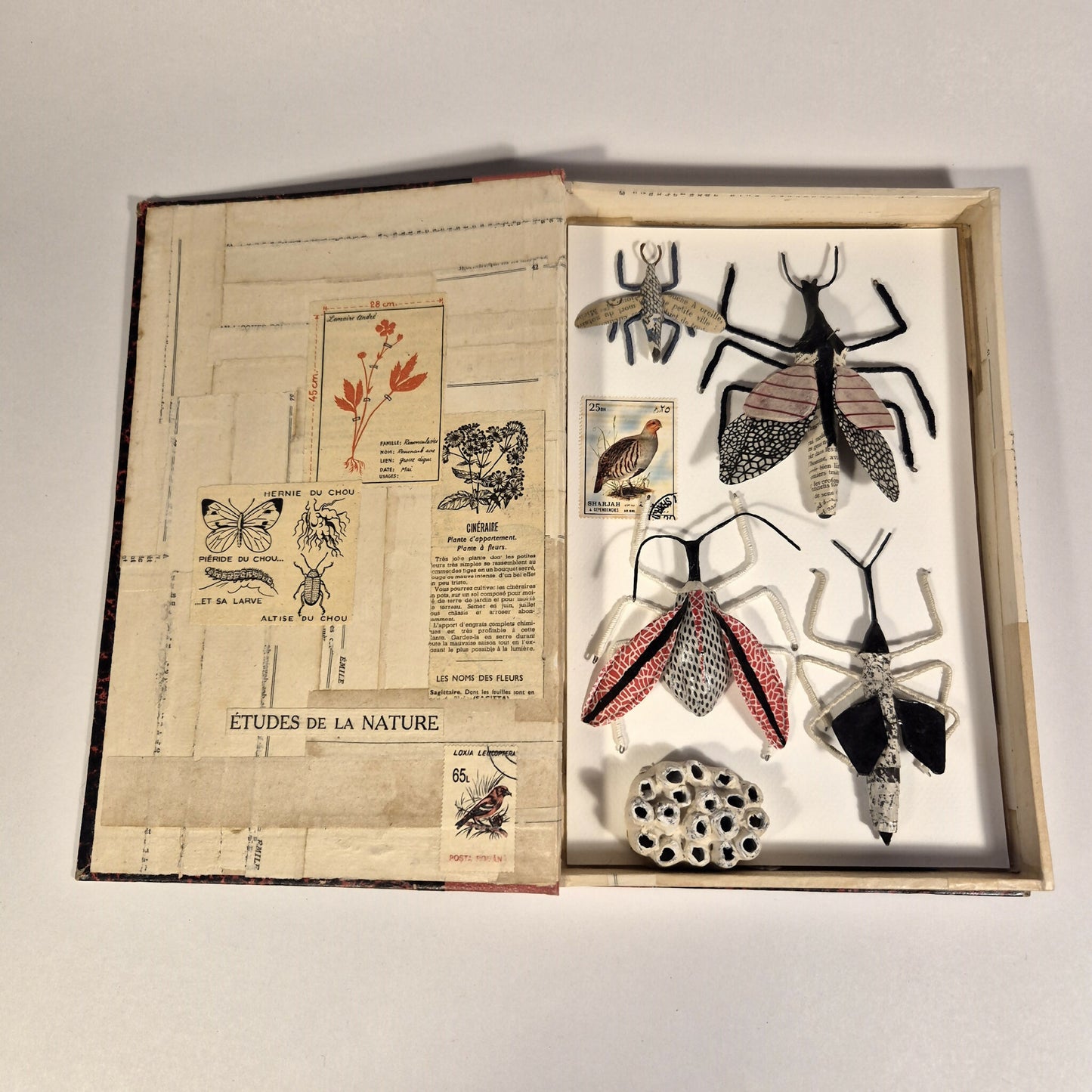 Sculpture Un livre sur les insectes