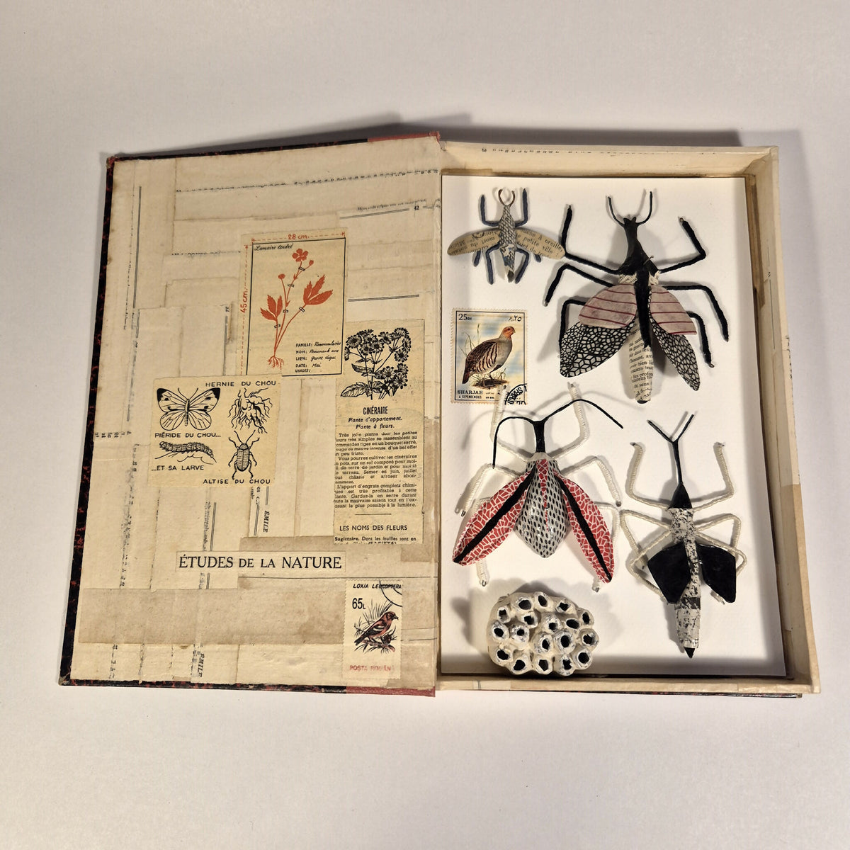 Livre de sculptures sur les insectes ouvert, planches illustrées et insectes en relief
