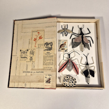 Sculpture Un livre sur les insectes