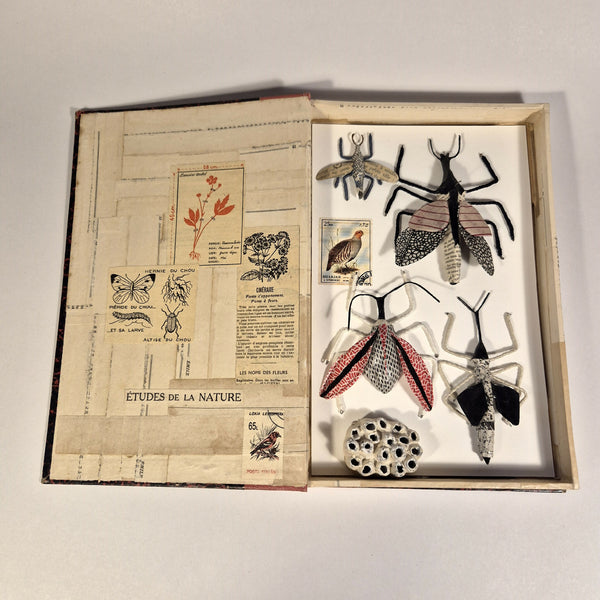 Livre de sculptures sur les insectes ouvert, planches illustrées et insectes en relief