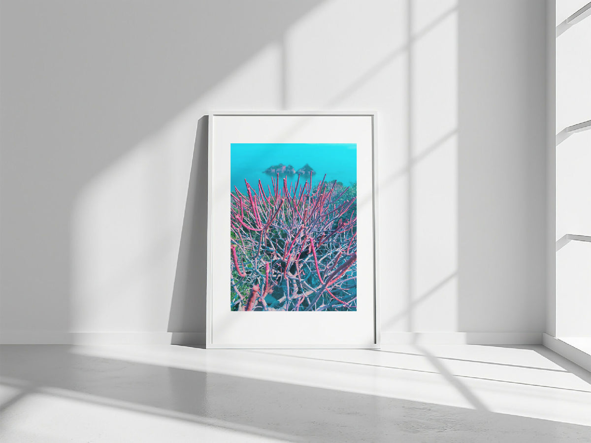 Photo encadrée d’arbustes marins aux branches roses et bleues