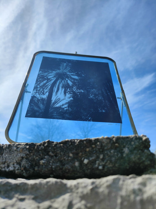 Marrakech végétal #1