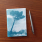 carnet cyanotype fanette bruel