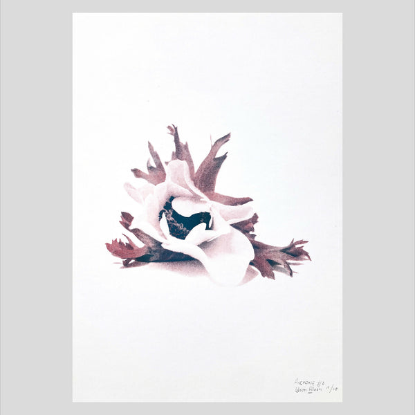 Affiche florale d’anémone blanche, bleu et mauve sur fond clair, format A3