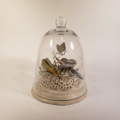 Sculpture - Jardin sous cloche