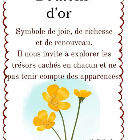 Boucles d'oreilles boutons d'or