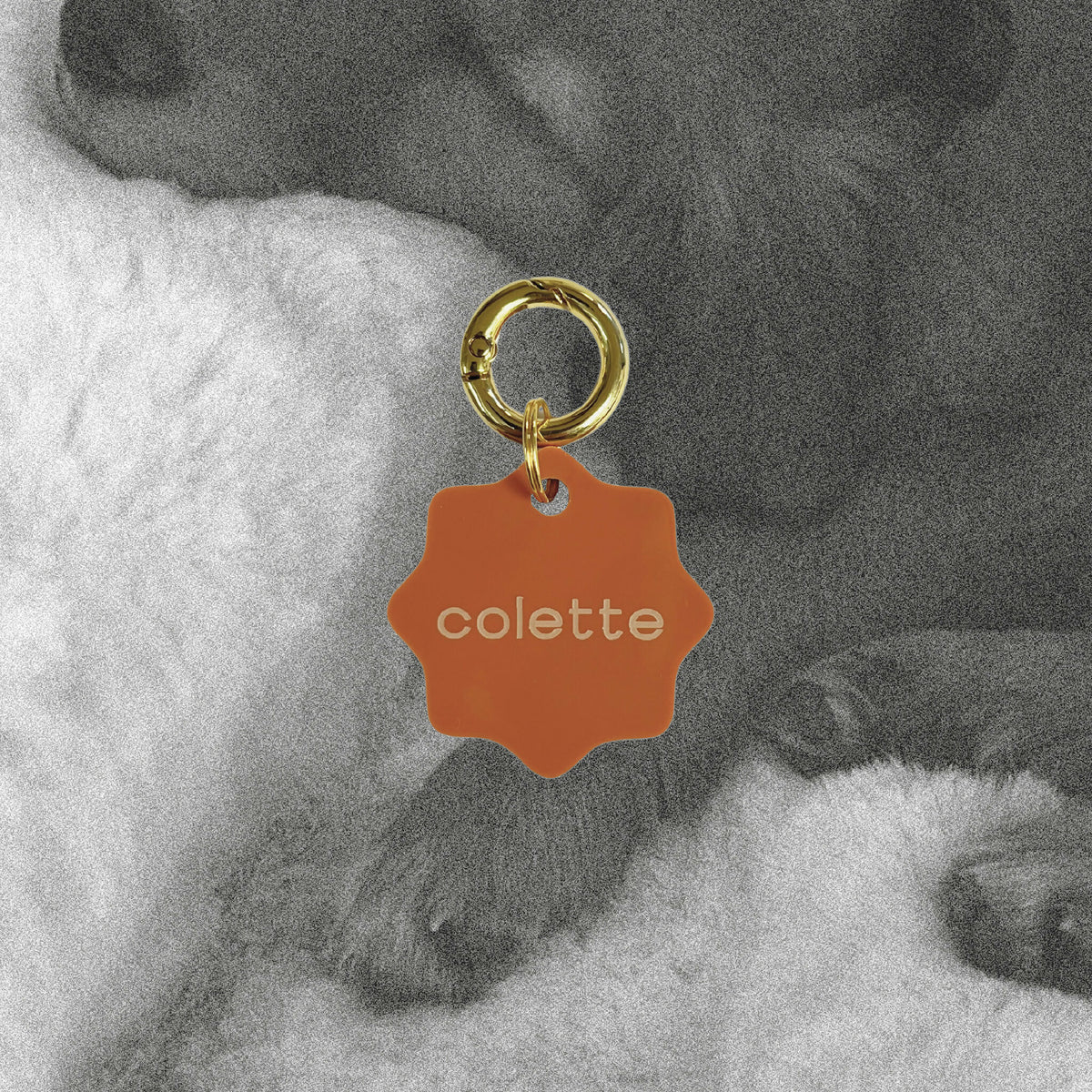 Médaille porte-clés en forme de fleur, émail orange, anneau doré, inscription «colette»
