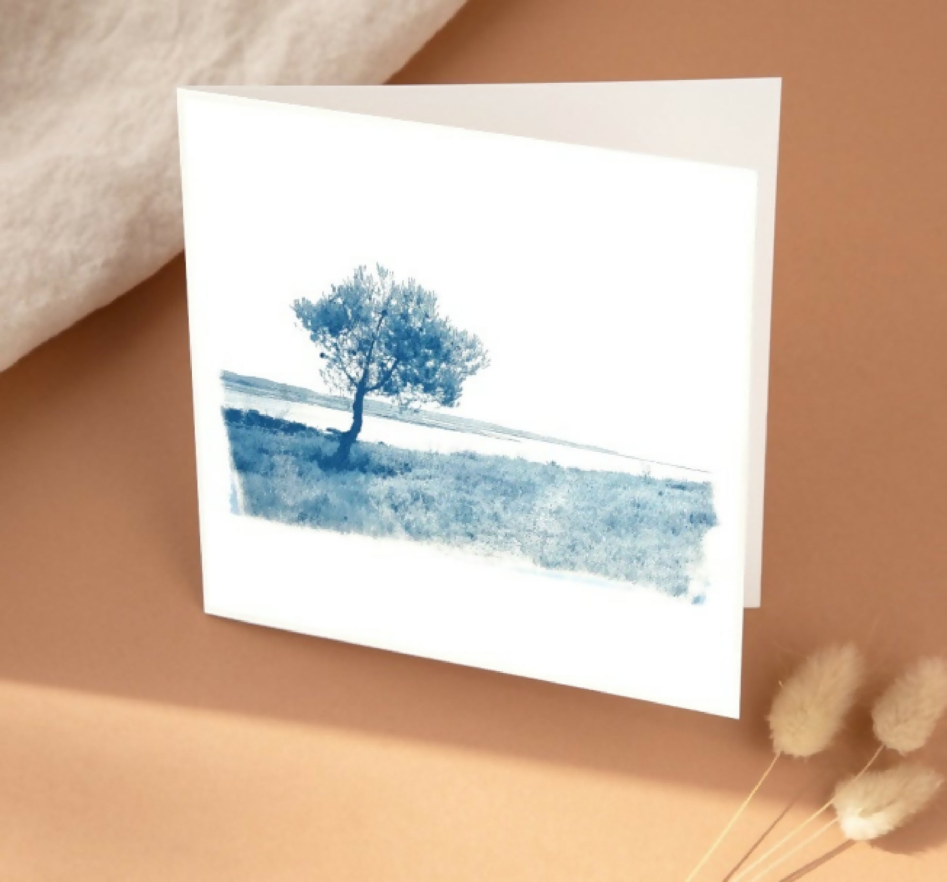 carte cyanotype fanette bruel
