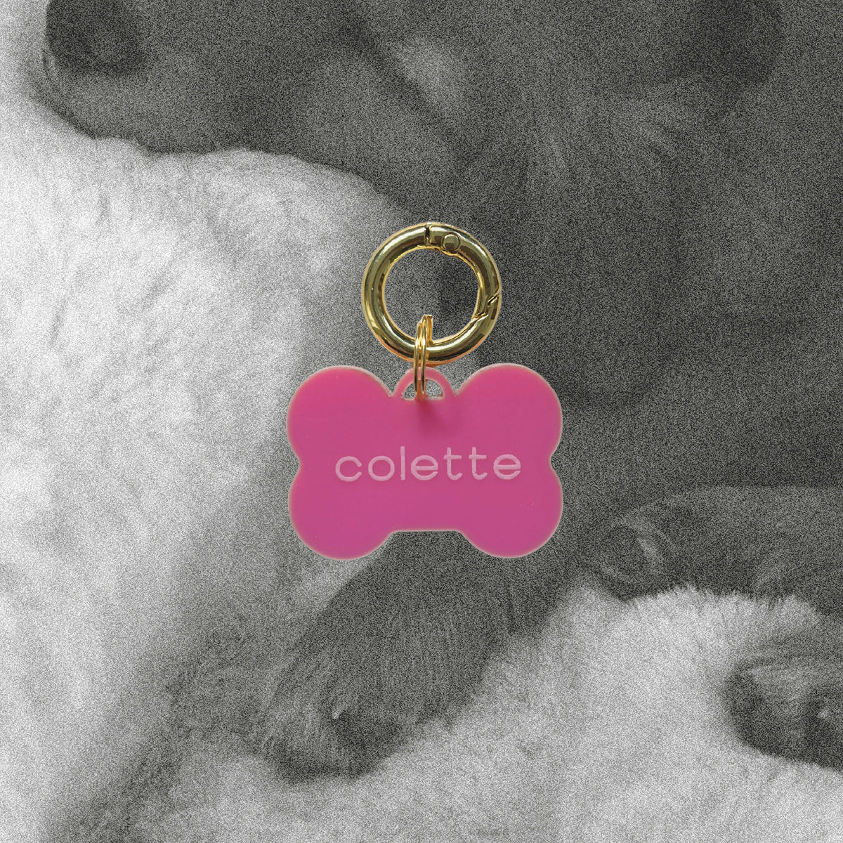 Médaille totem en forme d’os rose avec anneau doré et inscription « colette ».