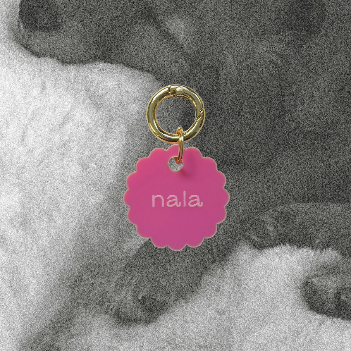 Médaille Bloom en émail rose, anneau doré, inscription « nala » en face.