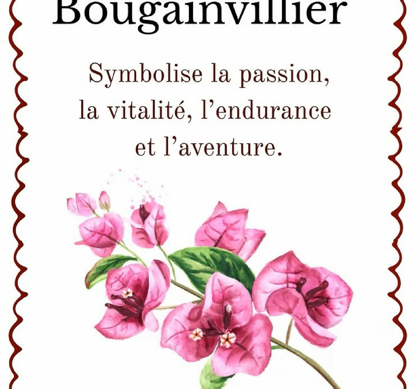 Boucles d'oreilles Bougainvillier