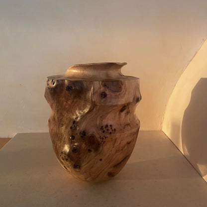 TOTEMS — Totem #1