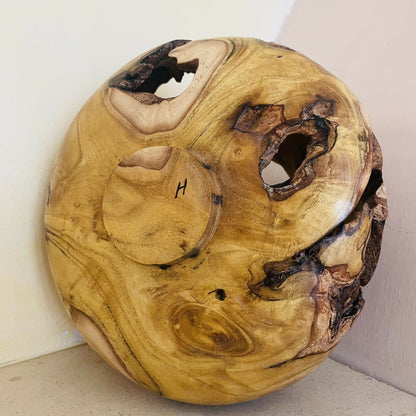 TENSION — Carapace