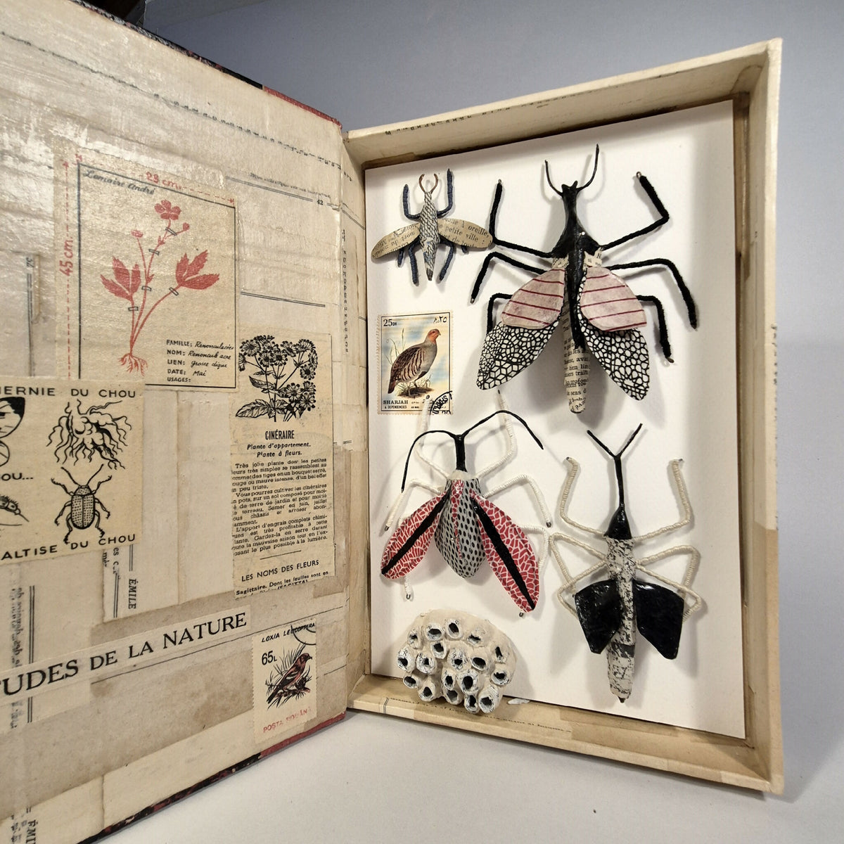 Livre de sculptures sur les insectes ouvert, insectes en relief sur fond blanc