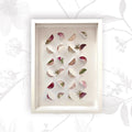 Tableau A4 encadré avec demi-lunes de fleurs séchées et accents dorés, fond clair