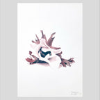 Affiche florale d’anémone blanche, bleu et mauve sur fond clair, format A3