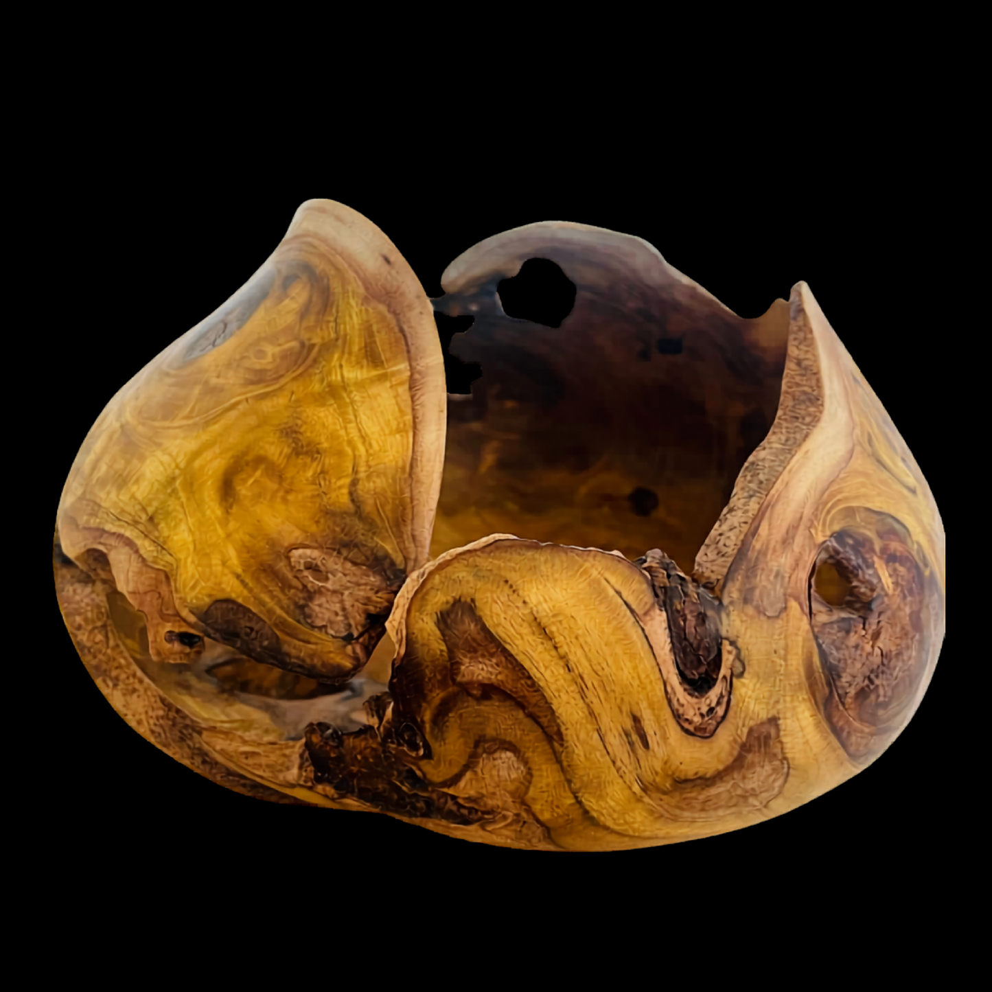 TENSION — Carapace