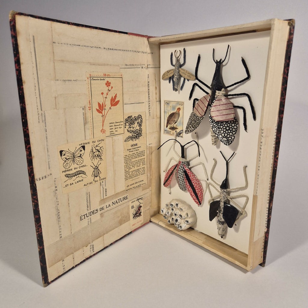 Livre de sculptures sur les insectes ouvert, insectes en relief et page imprimée