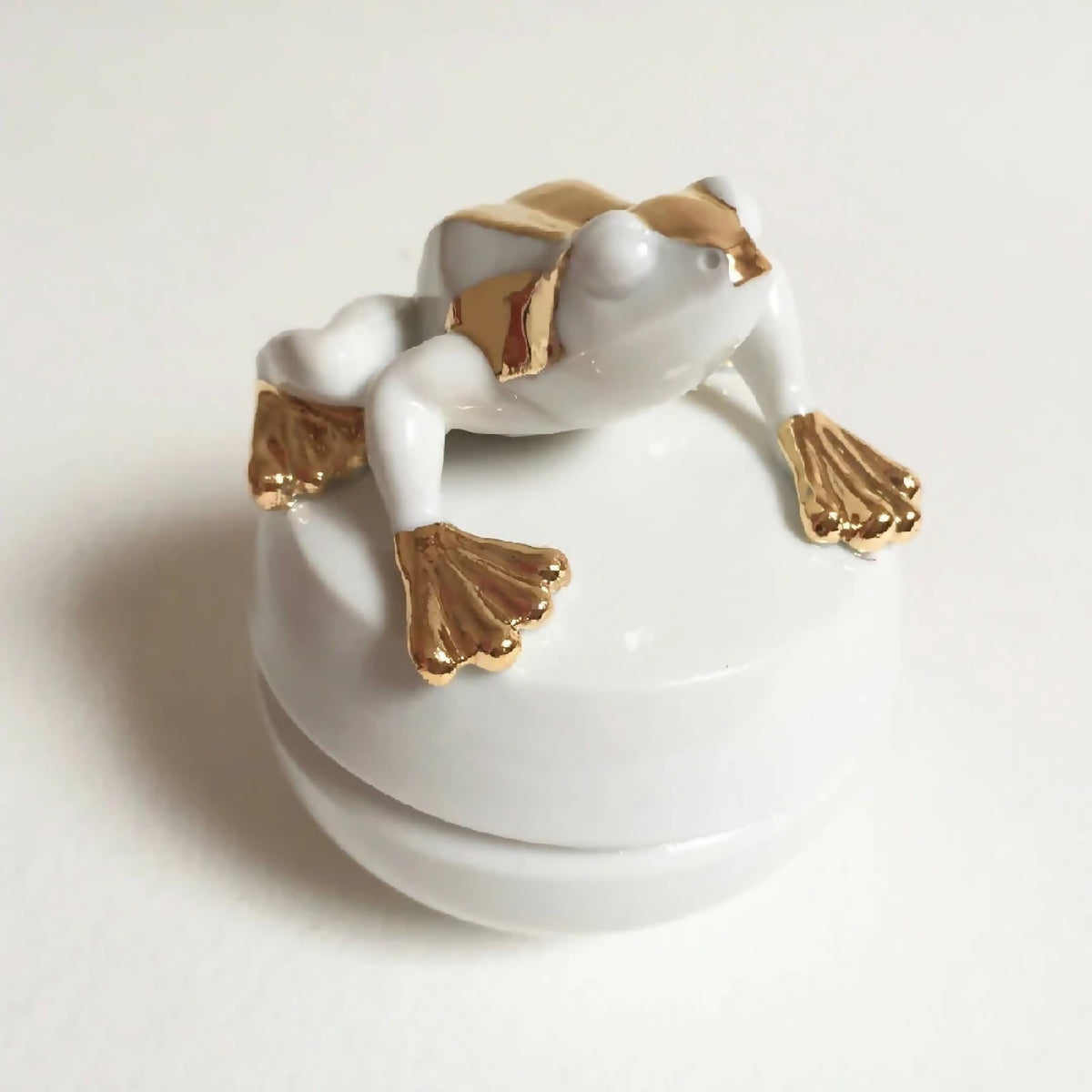 Boîte à bijoux en forme de grenouille blanche, couvercle relevé montrant l’intérieur brun.
