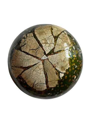 Photoroom_20250705_180800