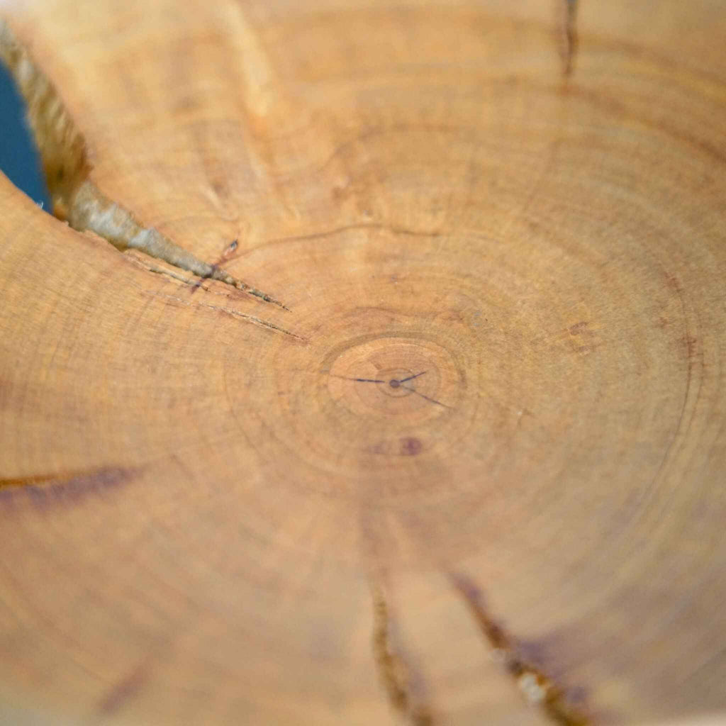 Bol en bois naturel, gros plan sur le fond avec motif de veinage circulaire