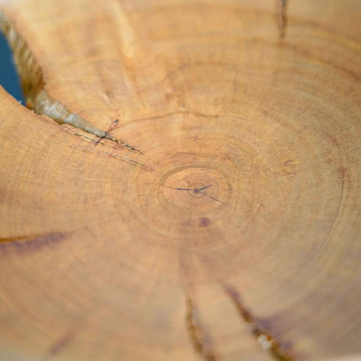 Bol en bois naturel, gros plan sur le fond avec motif de veinage circulaire