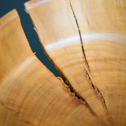 Bol en bois naturel, détail des fentes et coutures entre les planches du bord