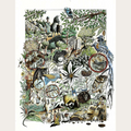 Affiche illustrée de bestiaire éthiopien 50x65 cm, animaux noirs et bleus, plantes et ornements.