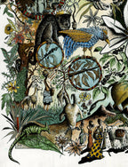 Affiche bestiaire éthiopien 50x65 cm, grand oiseau bleu, animaux et végétation, motifs décoratifs.